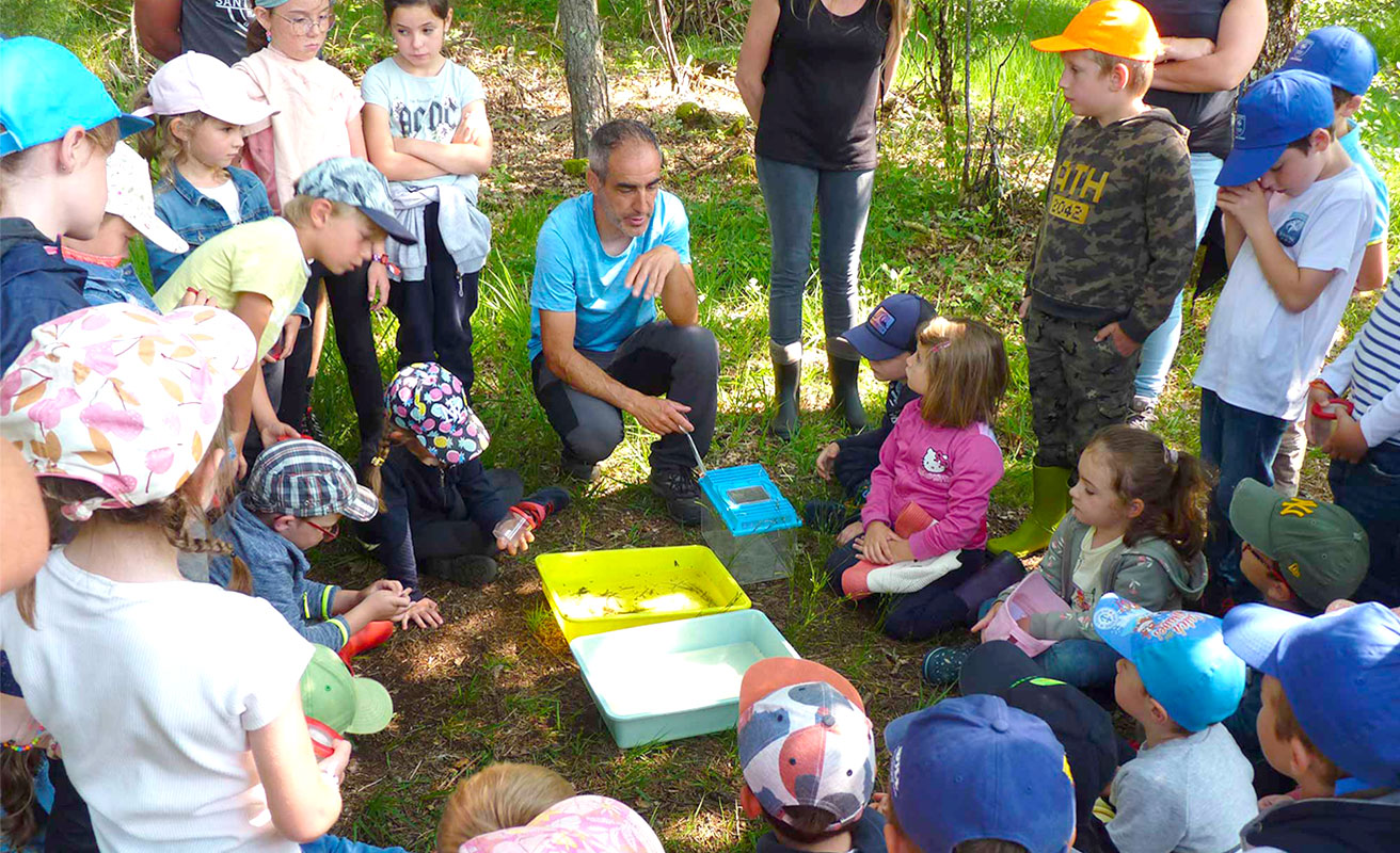 Sorties p&eacute;dagogiques