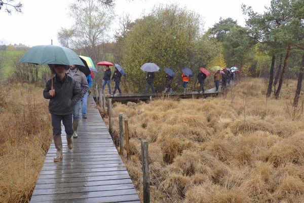 Randonnées dans le Marais du Cassan et de Prentegarde