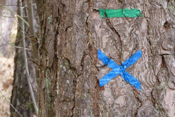 entretien du balisage des deux sentiers vient d&rsquo;&ecirc;tre fait mi-mars par les baliseurs officiels de la F&eacute;d&eacute;ration Fran&ccedil;aise de la randonn&eacute;e p&eacute;destre du cantal