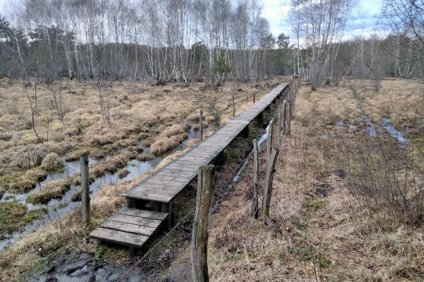 Photo sur le terrain du comité de pilotage du site Natura 2000 « Marais du Cassan et de Prentegarde »