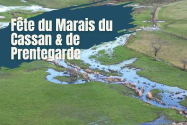 Fête du Marais - Dimanche 5 octobre