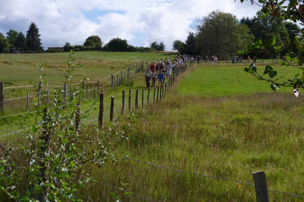Randonnées dans le Marais du Cassan et de Prentegarde