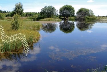 Stratégie départementale Biodiversité