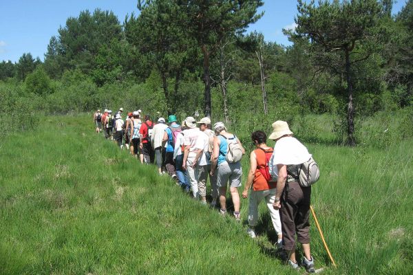 Randonnées dans le Marais du Cassan et de Prentegarde