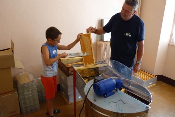 Photos du rucher p&eacute;dagogique situ&eacute; aux Marais du Cassan et de Prentegarde dans le Cantal. 