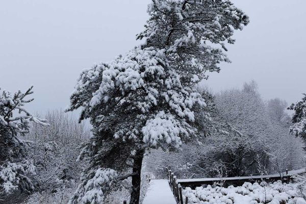 Photos des plus beaux paysages des Marais du Cassan et de Prentegarde, zone humide protégée, situés sur les communes de Lacapelle-Viescamp, Saint-Etienne-Cantalès et Saint-Paul-des-Landes dans le Cantal. Photos et droits d'auteur réservés : Cantal Photo Club.