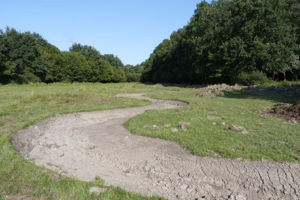 Restauration du Bassin Versant de l’Auze