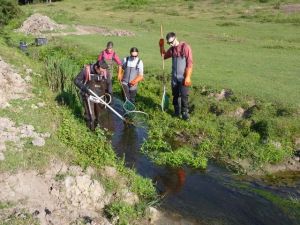 Travaux de restauration des zones humides du ruisseau d’Auze en 2021, mené par le SIVU Auze Ouest Cantal.