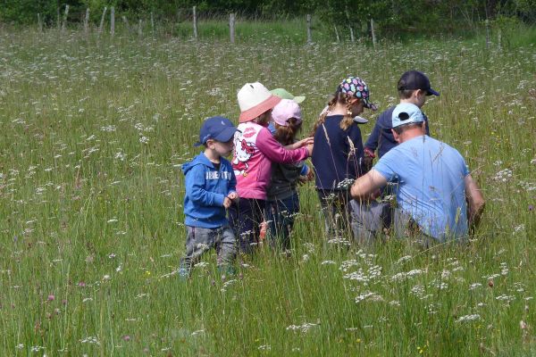 Des sorties botaniques sont organisées au sein du Marais du Cassan et de Prentegarde