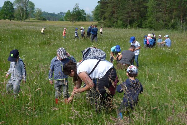 Des sorties botaniques sont organisées au sein du Marais du Cassan et de Prentegarde