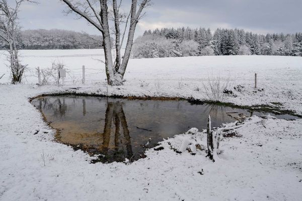 Photos des plus beaux paysages des Marais du Cassan et de Prentegarde, zone humide protégée, situés sur les communes de Lacapelle-Viescamp, Saint-Etienne-Cantalès et Saint-Paul-des-Landes dans le Cantal. Photos et droits d'auteur réservés : Cantal Photo Club.