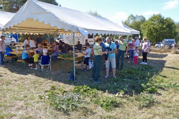 L’Office national des forêts (ONF) intervenant sur le site du Marais du Cassan et de Prentegarde.