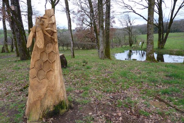 deux sculptures sur tronc d’arbre représentant une libellule et une abeille, réalisées en septembre 2023 par le GRIZZLY alias Guillaume ANDELOT, sculpteur sur bois à la tronçonneuse, champion de France 2017 et 2019.