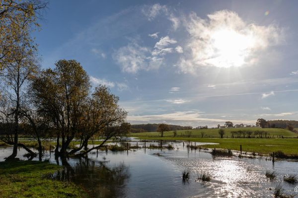 Photos des plus beaux paysages des Marais du Cassan et de Prentegarde, zone humide protégée, situés sur les communes de Lacapelle-Viescamp, Saint-Etienne-Cantalès et Saint-Paul-des-Landes dans le Cantal. Photos et droits d'auteur réservés : Cantal Photo Club.