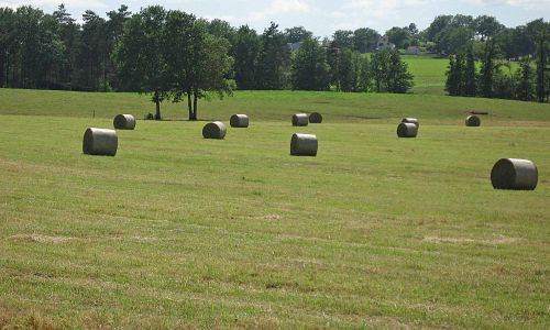 Les activités agricoles permettent de maintenir ouvert des milieux dont certains sont à préserver dans les zones Natura 2000ntegarde