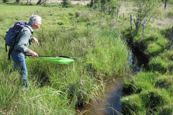 Daniel TOURLAN, entomologiste au Marais du Cassan et de Prentegarde