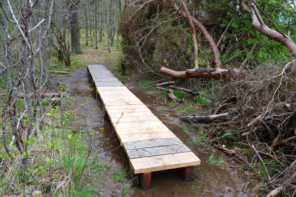 Déplacement sur la commune de Lacapelle-Viescamp d’un caillebotis de 7,40 m situé dans un secteur peu humide de la commune de Saint-Paul des Landes. Rajout d’une longueur de 2 mètres